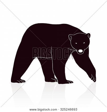 Bear Silhouette Vector Isolated On White Backround
