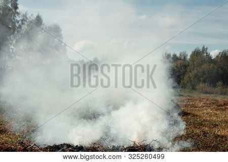 A Column Of Smoke In The Field, Fires, Fire In Nature, The Destruction Of Tree Plants.