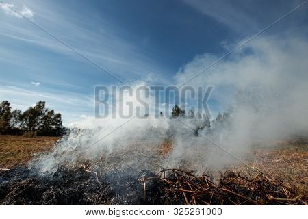 A Column Of Smoke In The Field, Fires, Fire In Nature, The Destruction Of Tree Plants.