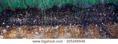 The Curb Erosion From Storms. To Indicate The Layers Of Soil And Rock. Nature Cross Section Soil Und