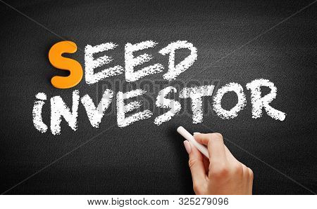 Seed Investor Text On Blackboard, Business Concept Background