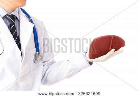 Doctor Hold Liver Disease , Concept Fatty Liver