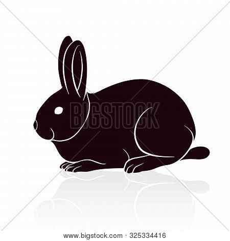 Rabbit Silhouette Vector Illustration Isolated On White Background
