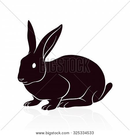 Rabbit Silhouette Vector Illustration Isolated On White Background