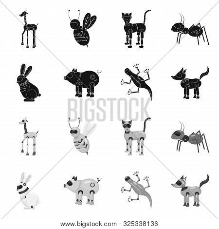 Vector Illustration Of Toy And Science Icon. Set Of Toy And Toy Stock Symbol For Web.