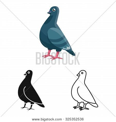 Isolated Object Of Dove And Bird Symbol. Collection Of Dove And Peace Vector Icon For Stock.