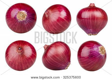 Isolated Red Onion. Collection Of Different Whole Red Onions Isolated On White Background With Clipp