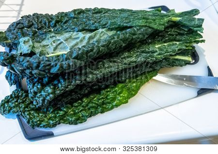 Cavolo Nero Being Prepared In A Kitchen Environment