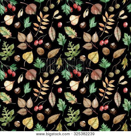 Watercolor Autumn Pattern Of Hazel-nuts, Chestnut, Maple Seeds, Planetree Seed Pods, Oak, Birch, Pop