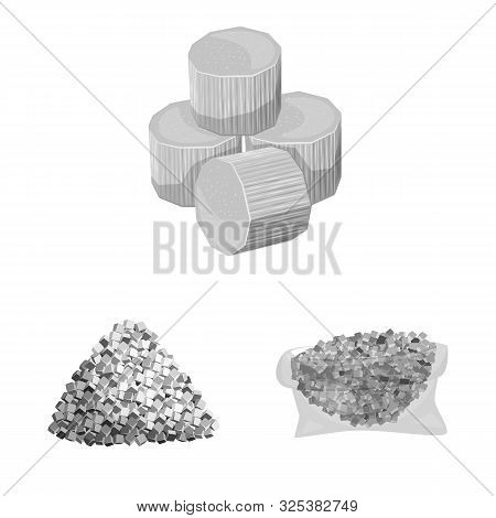 Isolated Object Of Sugarcane And Cane Symbol. Set Of Sugarcane And Field Stock Vector Illustration.