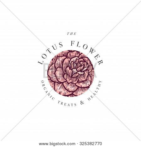 Hand Draw Vector Camelia Flowers Logo Illustration. Floral Wreath. Botanical Floral Emblem With Typo