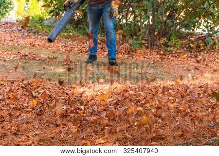 Leaf Blower In Action Moving Colorful Fall Leaves And Dried Pine Needles From Residential Lawn With 