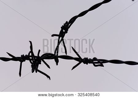 The Silhouette Of Barb Wire,on Background,blurry Light Around