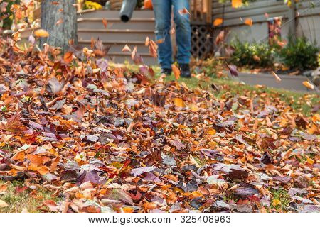 Leaf Blower In Action Moving Colorful Fall Leaves From Residential Lawn With Intentional Motion Blur