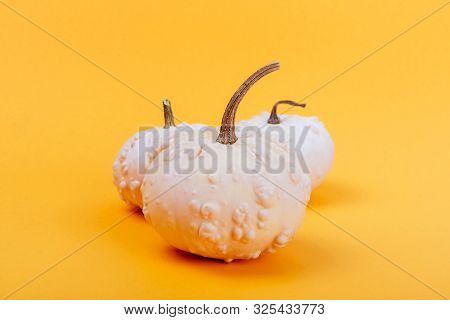 Halloweeen Theme With A Pumpkins On A Yellow Background