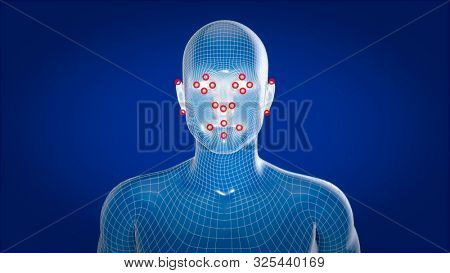 Human xray, human anatomy facial recognition, 3D Illustration