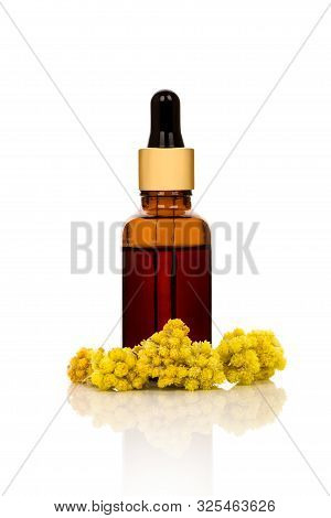 Bottle Of Essential Immortelle Oil On White Background. Medicinal Herb Helichrysum Italicum.