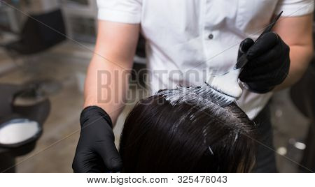 Hairdresser Applying On Wet Brown Brunette A Cream Masking.stylist With Brush In Hand Applying Natur