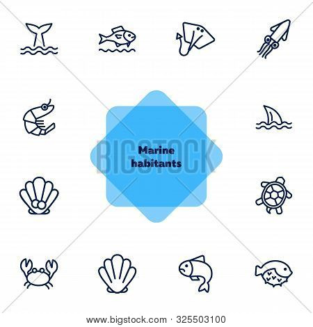 Seaanimal Concept. Vector Illustration Can Be Used For Topics Like Seafood, Cuisine, Cooking