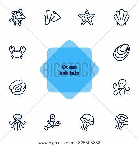 Ocean Habitats Icon Set. Seaanimal Concept. Vector Illustration Can Be Used For Topics Like Seafood,