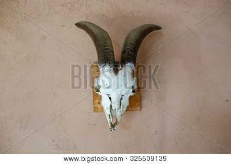 Aries Deer On A Wall With Open Bottom. Background Texture.