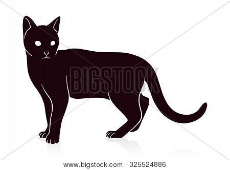 Cat Silhouette Vector Illustration Isolated On White Background