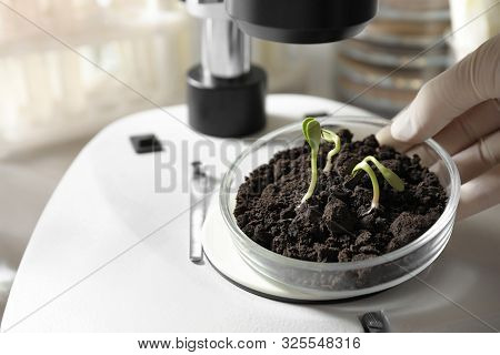 Scientist Doing Phytopathological Testing Of Plants With Microscope In Laboratory, Closeup