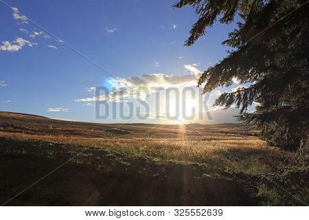 the setting sun near lake alexandrina, new zealand