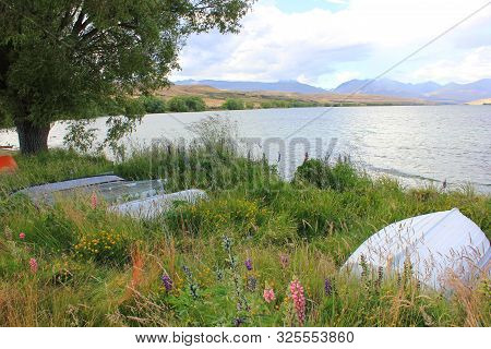 Bank of lake alexandrina on a beautiful morning