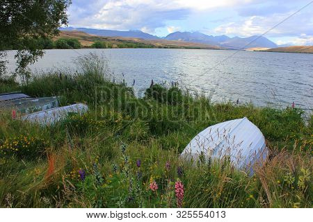 Bank of lake alexandrina in canterbury, new zealand