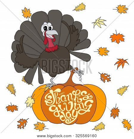Turkey Dancing On Orange Pumpkin, Lettering Happy Thanksgiving Day Falling Leaves Cartoons Art Desig