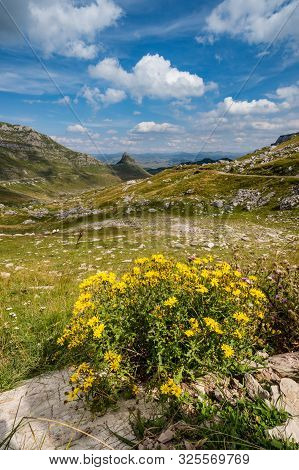 Picturesque Summer Mountain Landscape Of Durmitor National Park, Montenegro, Europe, Balkans Dinaric