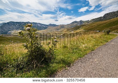 Picturesque Summer Mountain Landscape Of Durmitor National Park, Montenegro, Europe, Balkans Dinaric