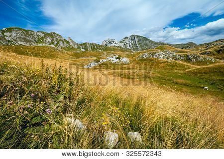 Picturesque Summer Mountain Landscape Of Durmitor National Park, Montenegro, Europe, Balkans Dinaric