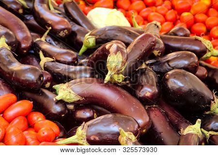 Fresh Purple Aubergine, Bingal Or Egg Plant Used In Cooking As Vegetable,