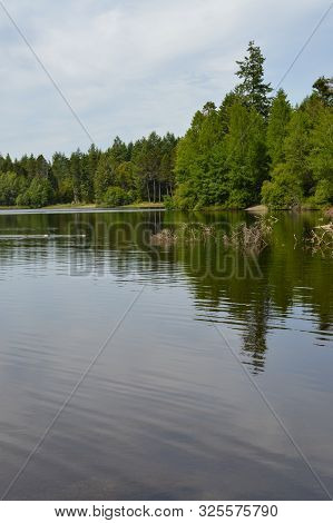 Lake Surrounded By Pine Trees Reflecting The Sky