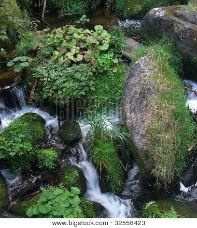 Detalle de cascadas de Triberg cubierto