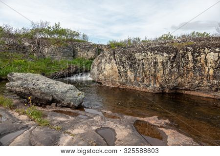 Murmansk, Algae Thrown Surf, Shore Of The Arctic Ocean, Sredniy Peninsula