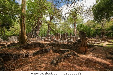Ruins Of Ancient City Gede In African Jungle Near Watamu, Kenya.