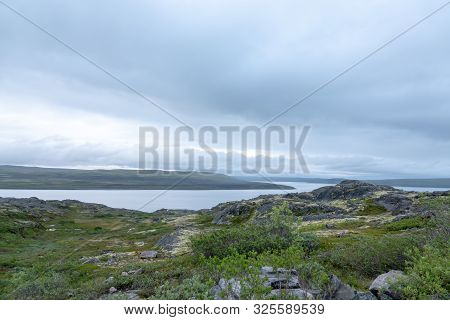 Murmansk, Algae Thrown Surf, Shore Of The Arctic Ocean, Sredniy Peninsula