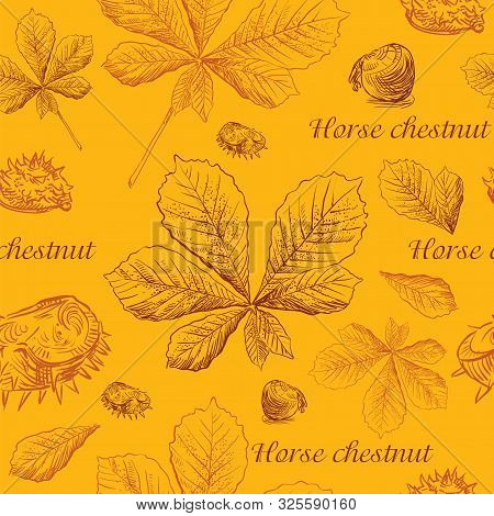 Vector Autumn Hand Drawing Seamless Pattern With Brown Color Horse Chestnut  Leaves And Seeds Outlin