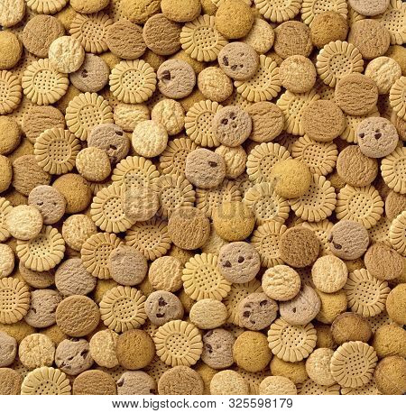 A Big Spread Of Assorted Vanilla And Chocolate Chip Cookies