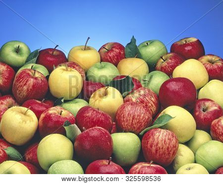 A Big Spread Of Assorted Apples With A Blue Background