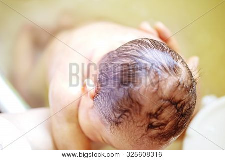 The Act Of Bathing A Newborn Baby . And Wash The Back Of A Newborn Baby. Bath Of The Decoction Of Th