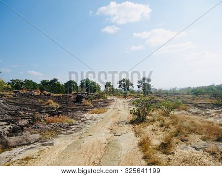 Gravel Road In Forest, Difficult Way More Tree Sideways And Blue Sky