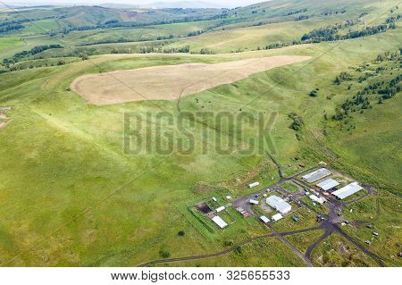 Aerial View Of Livestock Plots And Agricultural Green Fields In Nature In The Altai Mountains With S