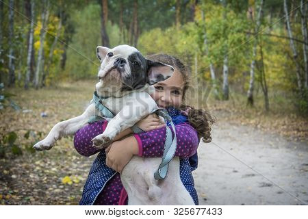 In The Autumn Forest, A Little Girl Holds A French Bulldog In Her Arms. She Is Happy, Hugs Him.