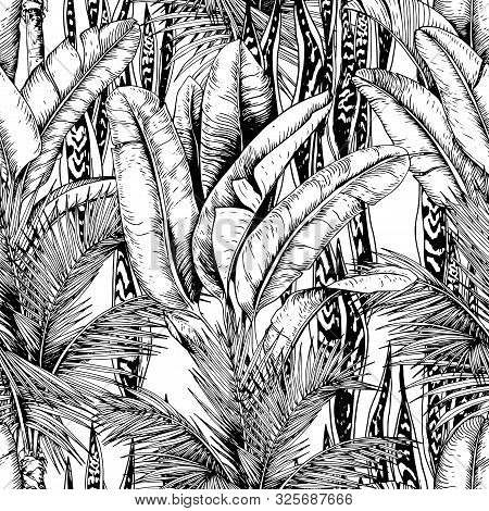 Seamless Pattern With Tropical Palm Trees, Banana Leaves And Snake Plants. Hand Drawn Vector. Black 