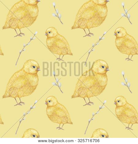 Easter Seamless Pattern Watercolor Hand Drawn Of Yellow Chiken, Spring Flowers, Willow, Bow. Colorfu