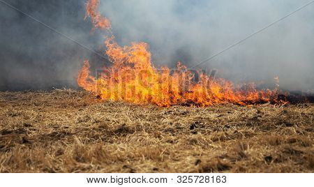 Dry Forest And Steppe Fires Completely Destroy Fields And Steppes During Severe Drought. Disaster Ca